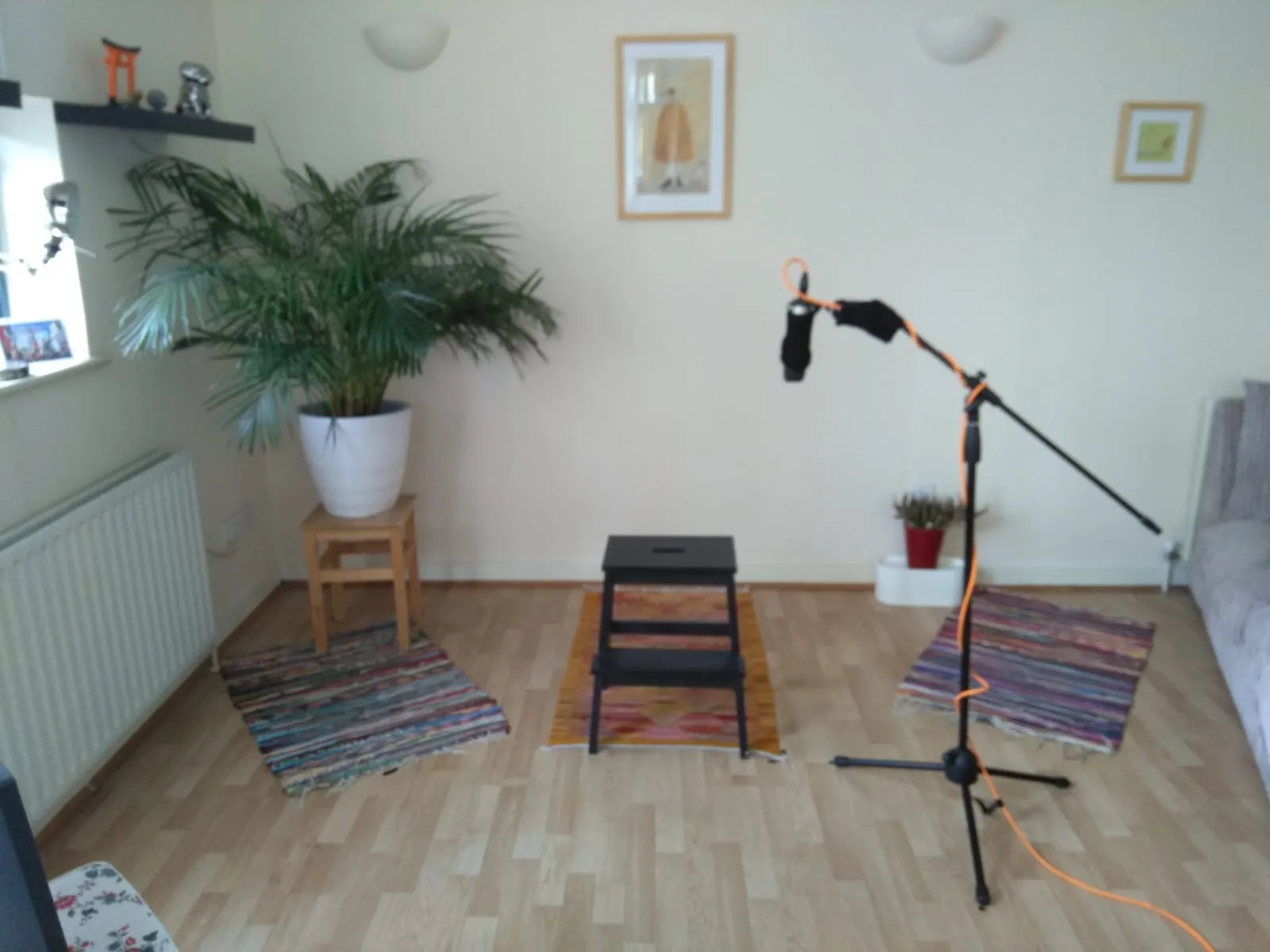 Livestreaming for Musicians: The Ultimate Guide