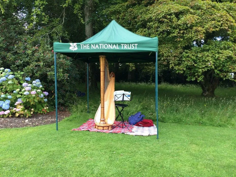Harp under cover