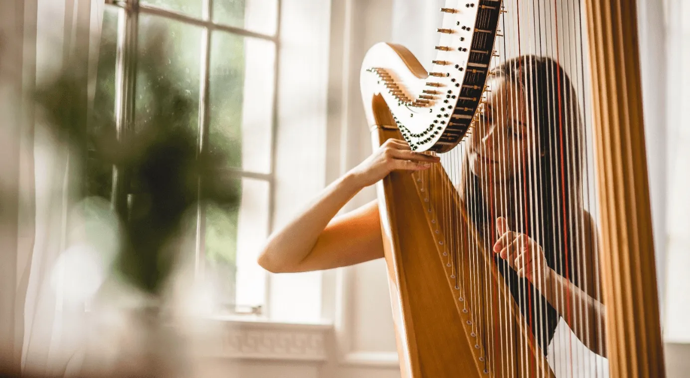 harpist doing tax return
