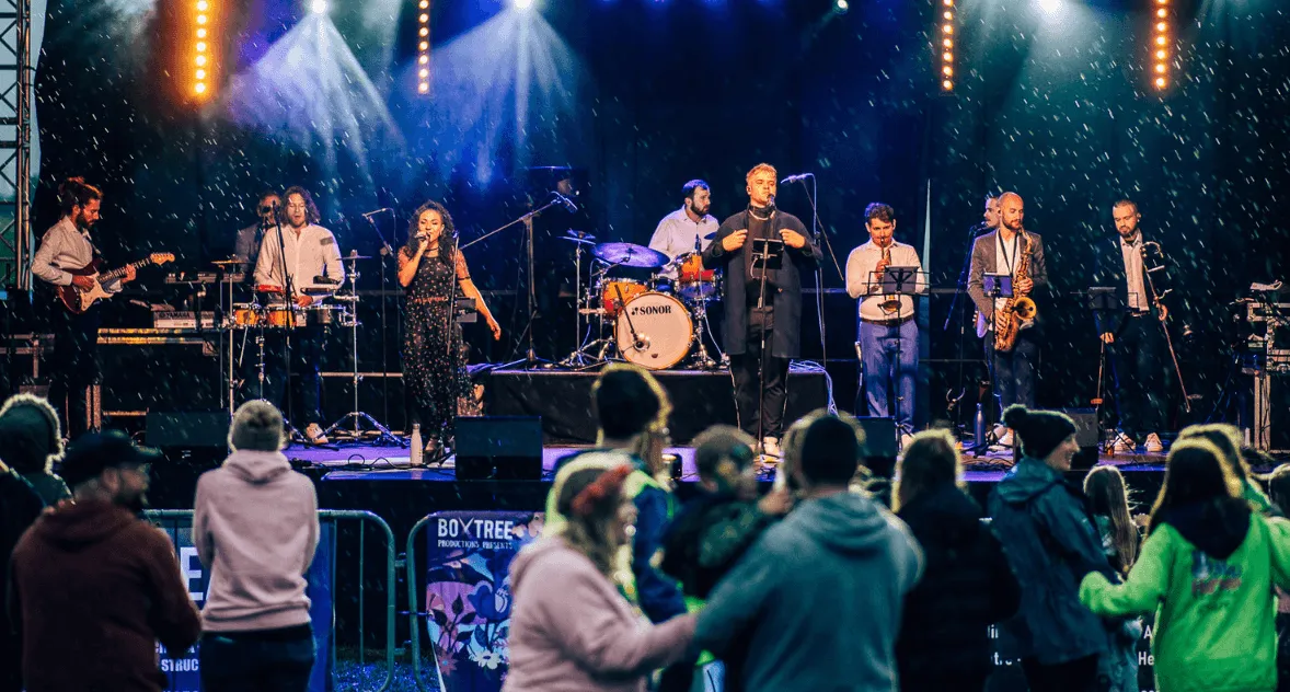 live band - mk & the misters 