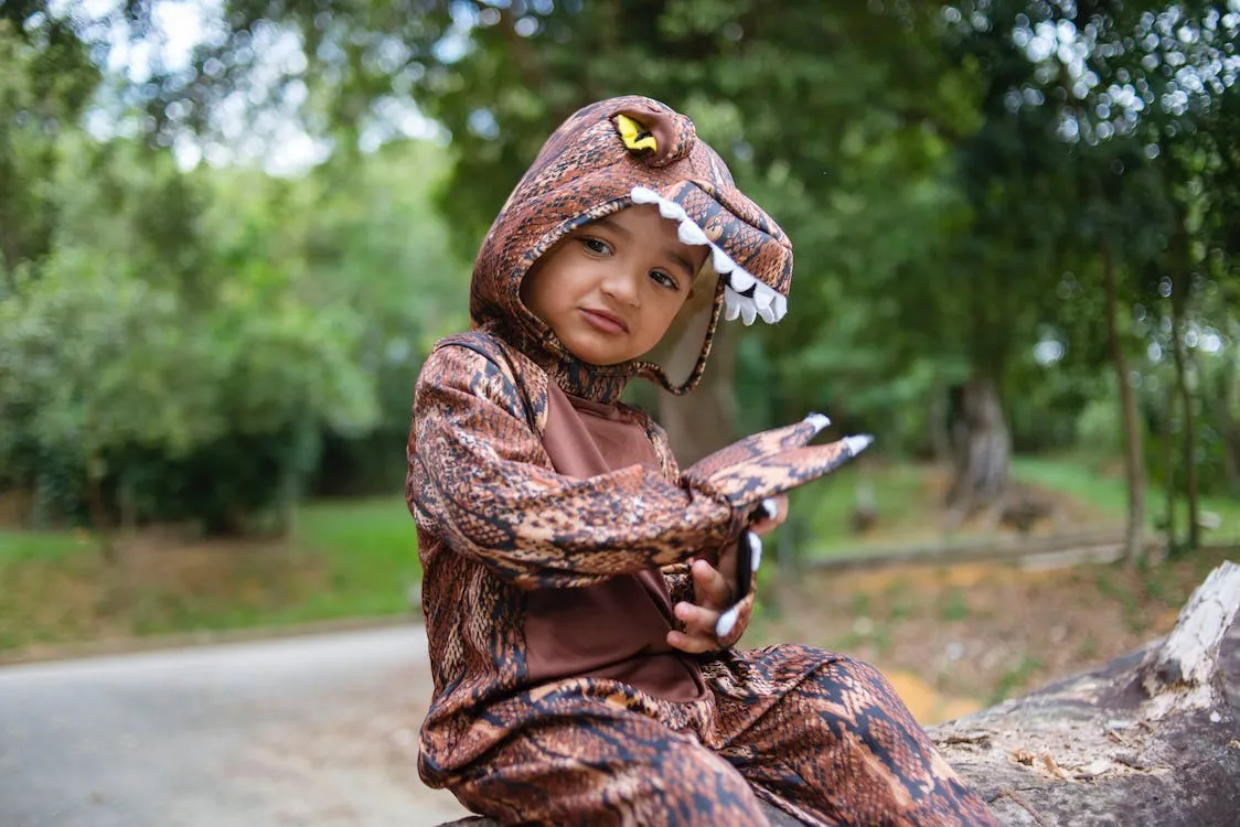 baby crocodile