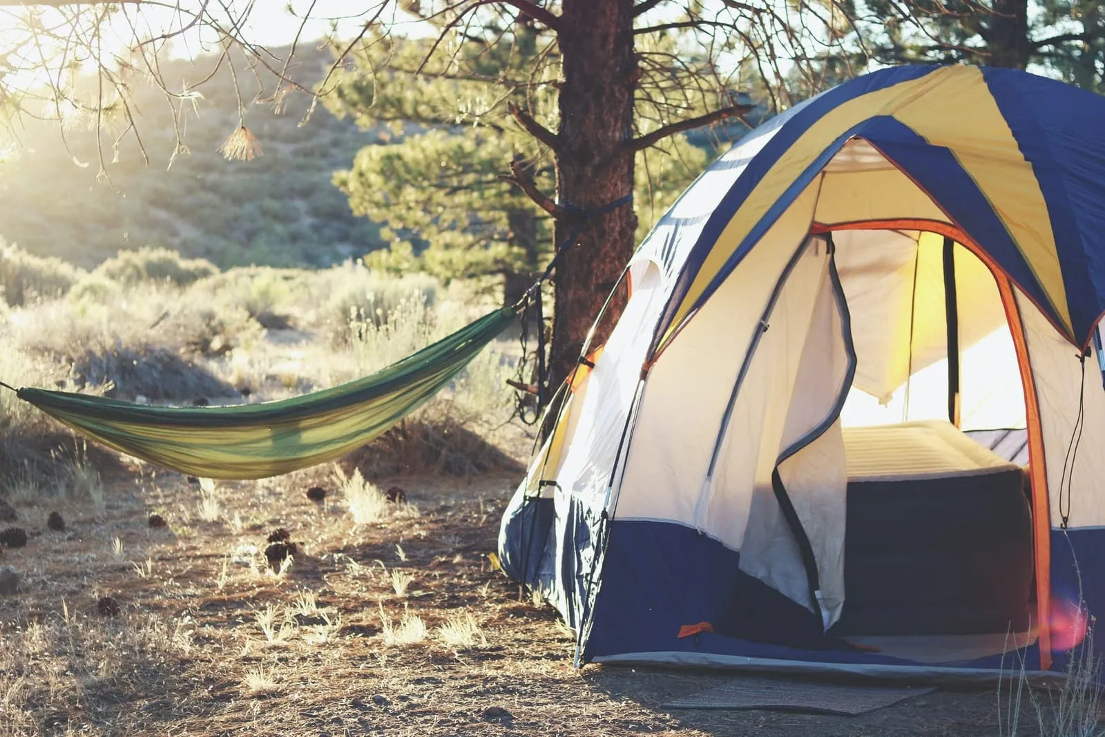 photo of tent and hammock in the background in nature