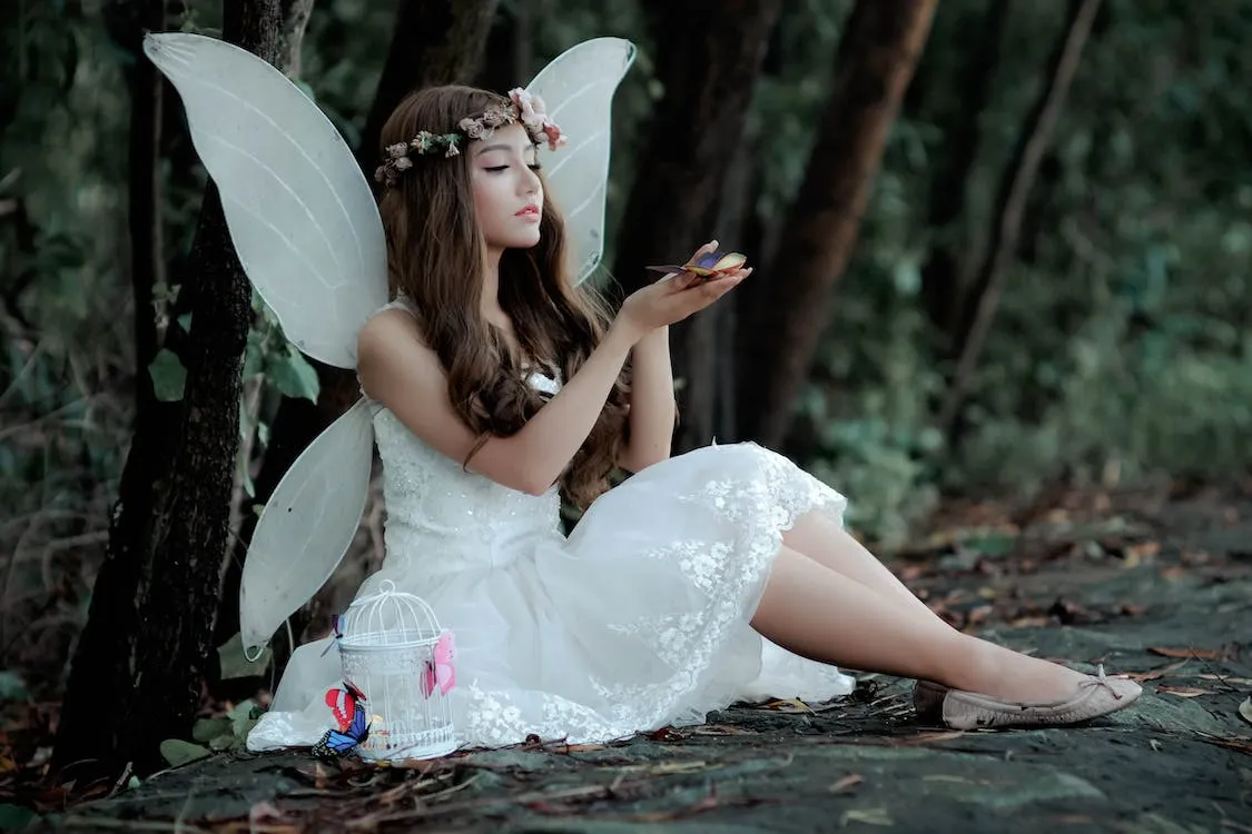 fairycostume