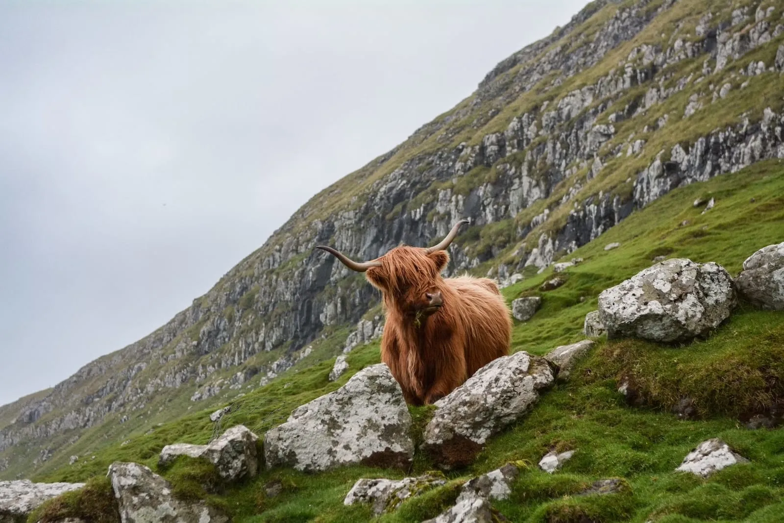 scotland auld lang syne