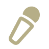 mic icon